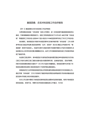 基层团委、总支对标定级工作自评报告.docx