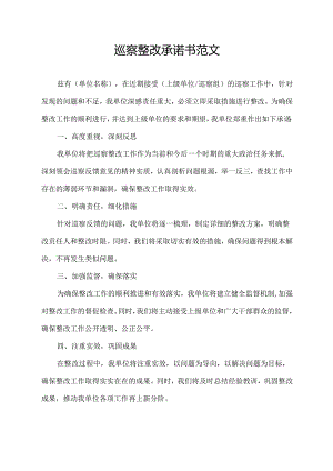 巡察整改承诺书范文.docx
