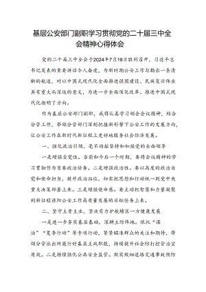 基层公安部门副职学习贯彻党的二十届三中全会精神心得体会.docx