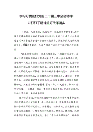 学习好贯彻好党的二十届三中全会精神 ——以钉钉子精神抓好改革落实.docx