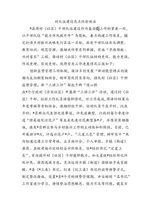 村队伍建设亮点经验做法.docx