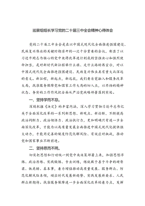 巡察组组长学习党的二十届三中全会精神心得体会（共四篇）.docx