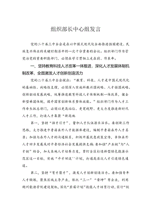 组织部长中心组发言.docx