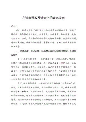 在巡察整改反馈会上的表态发言.docx