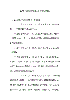 20XX年县慈善总会工作新亮点总结.docx
