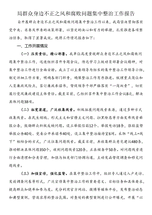 局群众身边不正之风和腐败问题集中整治工作报告.docx