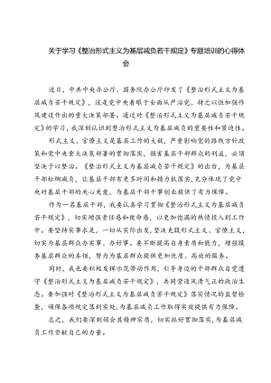 (五篇)关于学习《整治形式主义为基层减负若干规定》专题培训的心得体会集合.docx