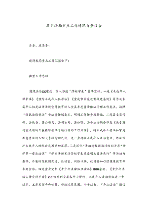 县司法局重点工作情况自查报告.docx
