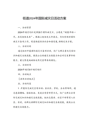 街道2024年国际减灾日活动实施方案.docx