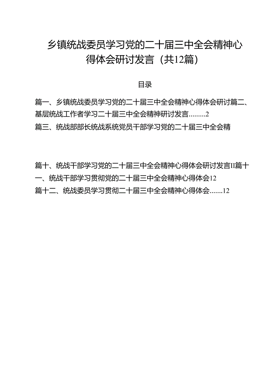 乡镇统战委员学习党的二十届三中全会精神心得体会研讨发言（共12篇）.docx_第1页