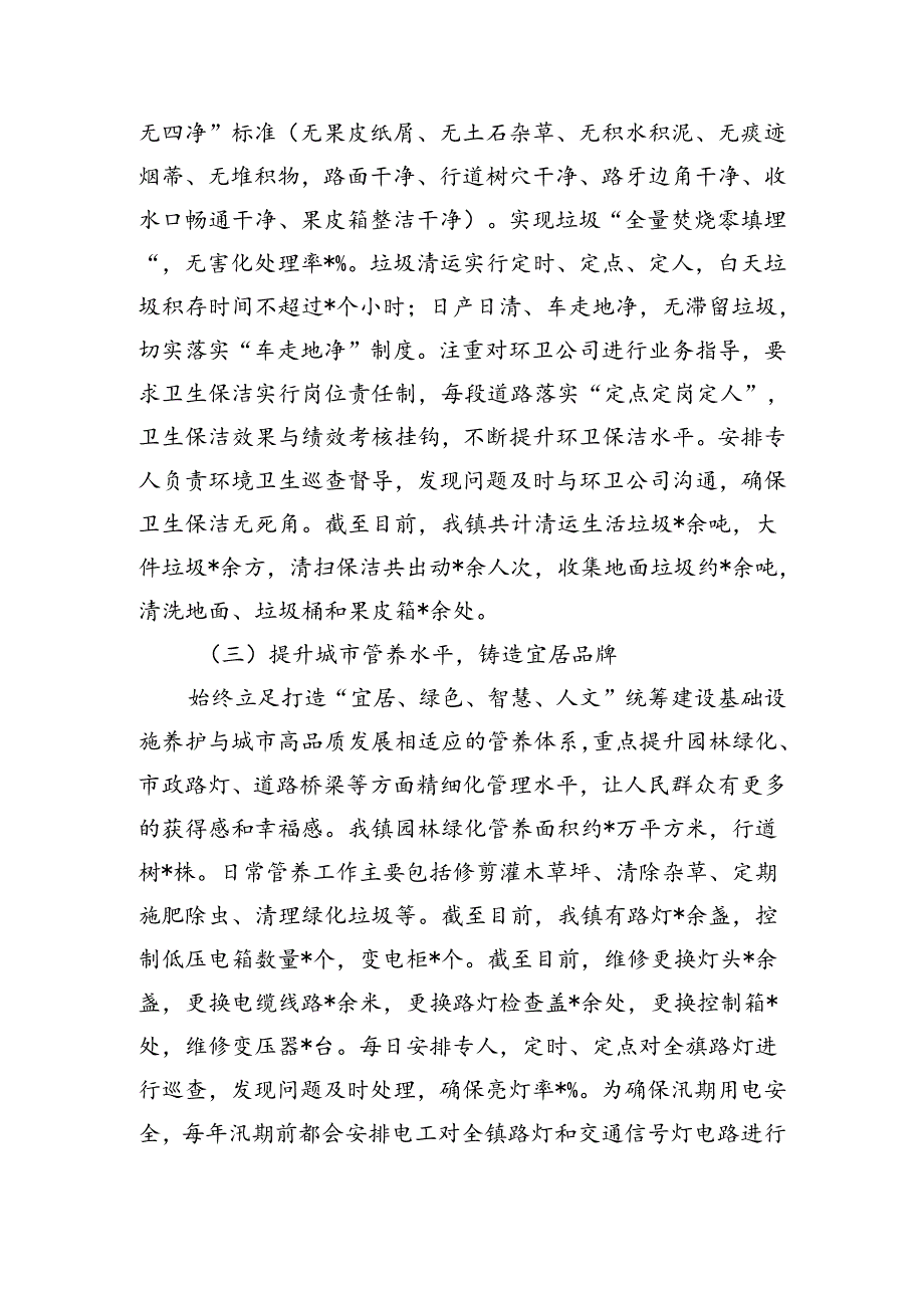 乡镇环卫管理总结.docx_第2页