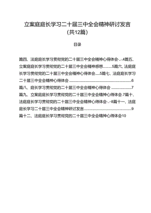 立案庭庭长学习二十届三中全会精神研讨发言12篇（精选）.docx