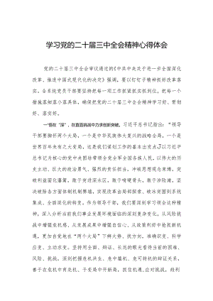 学习党的二十届三中全会精神心得体会发言.docx