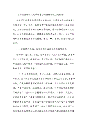 在市委全面深化改革领导小组全体会议上的讲 话.docx