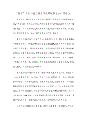 “两新”工作与重点行业节能降碳相结合心得体会.docx