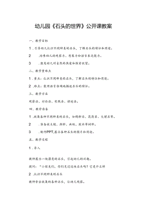 幼儿园《石头的世界》公开课教案.docx