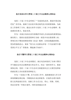 （11篇）执行局局长学习贯彻二十届三中全会精神心得体会（精选）.docx