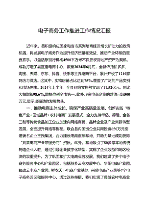 电子商务工作推进工作情况汇报.docx