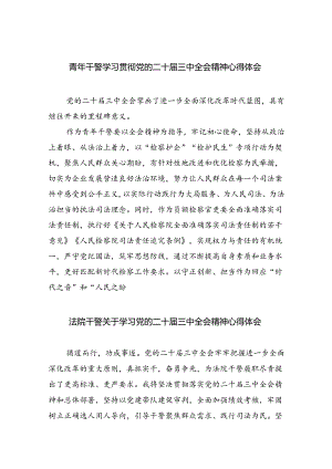青年干警学习贯彻党的二十届三中全会精神心得体会8篇（精选版）.docx