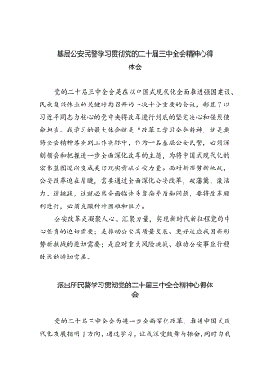 （9篇）基层公安民警学习贯彻党的二十届三中全会精神心得体会（详细版）.docx