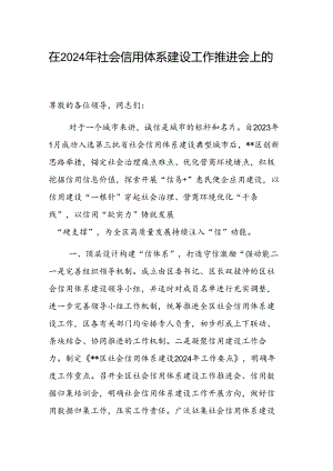 在2024年社会信用体系建设工作推进会上的汇报发言范文.docx
