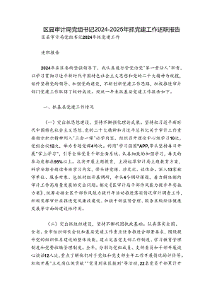 区县审计局党组书记2024-2025年抓党建工作述职报告.docx