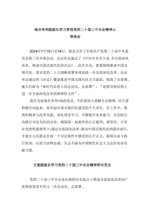 （11篇）综合审判庭庭长学习贯彻党的二十届三中全会精神心得体会集合.docx