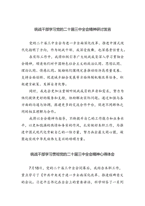 （9篇）统战干部学习党的二十届三中全会精神研讨发言（最新版）.docx