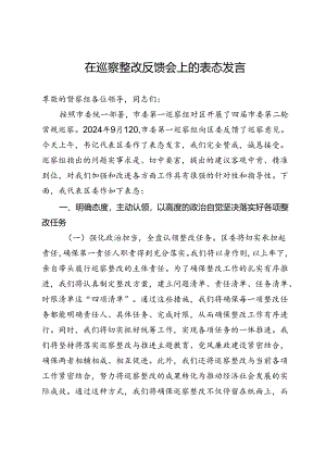在巡察整改反馈会上的表态发言 .docx