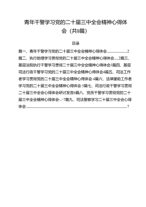 青年干警学习党的二十届三中全会精神心得体会（共9篇）.docx