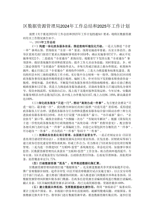 区数据资源管理局2024年工作总结和2025年工作计划.docx