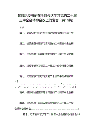 （10篇）某县纪委书记在全县传达学习党的二十届三中全会精神会议上的发言（精选）.docx