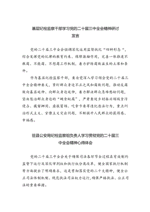 （9篇）基层纪检监察干部学习党的二十届三中全会精神研讨发言（详细版）.docx