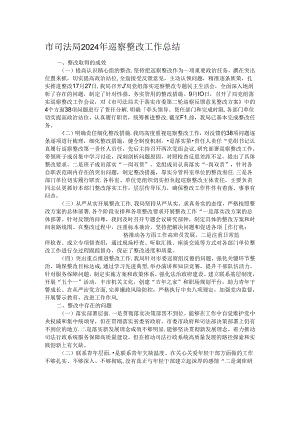市司法局2024年巡察整改工作总结.docx
