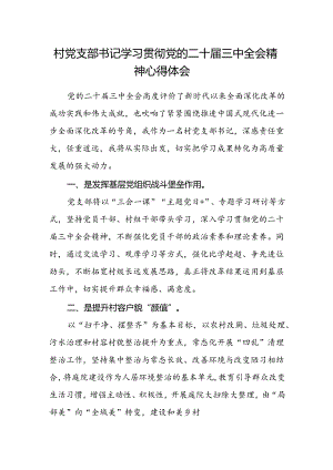 村党支部书记学习贯彻党的二十届三中全会精神心得体会.docx