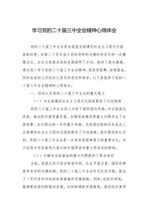 学习党的二十届三中全会精神心得体会.docx