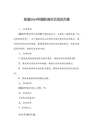 街道关于开展2024年国际减灾日活动方案.docx