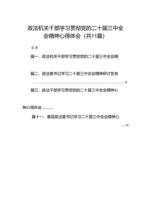 （11篇）政法机关干部学习贯彻党的二十届三中全会精神心得体会汇编.docx