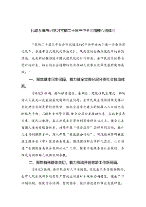 （9篇）民政系统书记学习贯彻二十届三中全会精神心得体会（最新版）.docx