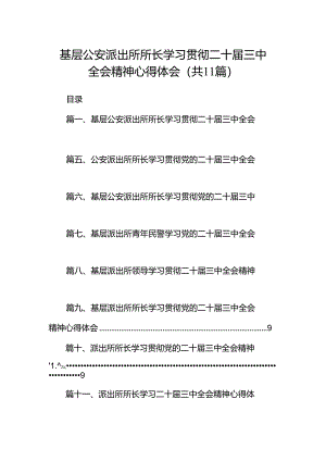 （11篇）基层公安派出所所长学习贯彻二十届三中全会精神心得体会（详细版）.docx