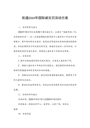街道开展2024年国际减灾日活动方案.docx