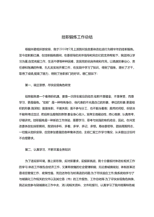 挂职锻炼工作总结.docx