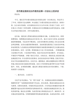 在市委全面依法治市委员会第一次会议上的讲话.docx