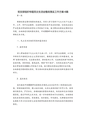党支部组织专题民主生活会整改落实工作方案-6篇.docx