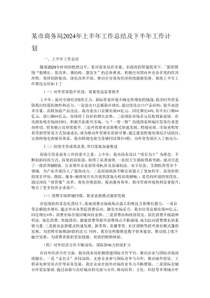某市商务局2024年上半年工作总结及下半年工作计划.docx