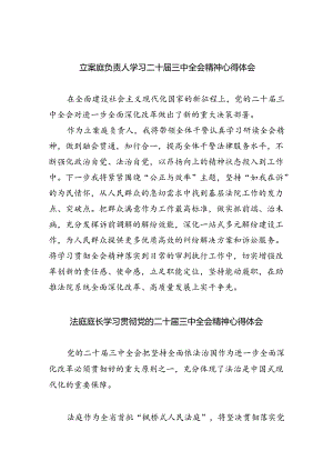立案庭负责人学习二十届三中全会精神心得体会5篇（精选版）.docx