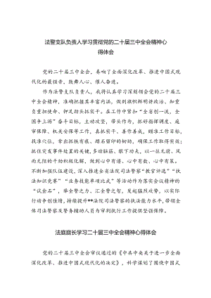 法警支队负责人学习贯彻党的二十届三中全会精神心得体会（共8篇）.docx
