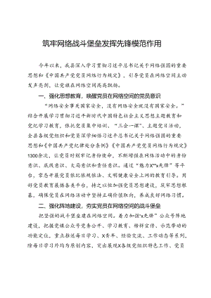 交流发言：筑牢网络战斗堡垒 发挥先锋模范作用.docx