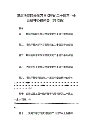 基层法院院长学习贯彻党的二十届三中全会精神心得体会12篇（详细版）.docx