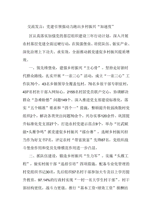 交流发言：党建引领强动力 跑出乡村振兴“加速度”.docx